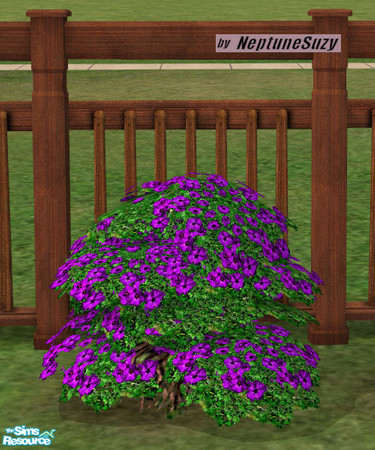 Sims 2 — NSC Plant - Plastic Phlox 2 by Neptunesuzy — Your sims will love this rich purple colored Plastic Phlox Plant!