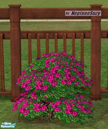 Sims 2 — NSC Plant - Plastic Phlox 3 by Neptunesuzy — Your sims will love this rich pink colored Plastic Phlox Plant!