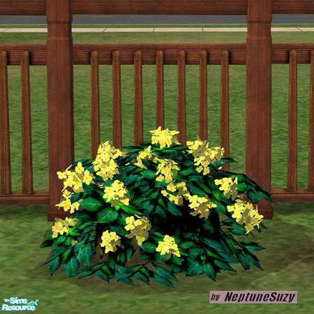 Sims 2 — NSC Plant - Plastic Hydrangea 10 by Neptunesuzy — Your sims will love this yellow Plastic Hydrangea Plant! Does