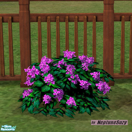 Sims 2 — NSC Plant  - Plastic Hydrangea 6 by Neptunesuzy — Your Sims will love this rich pink purple colored Plastic