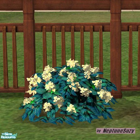 Sims 2 — NSC Plant - Plastic Hydrangea 2 by Neptunesuzy — Your sims will love this pastel yellow colored Plastic