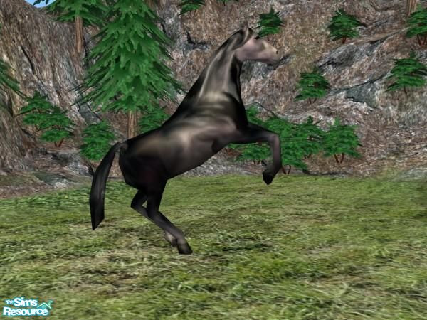Sims 2 — Rearing Horse - Black by Suiryuue — Hi Folks, here's some wild horses for download. I am not the orignal creator