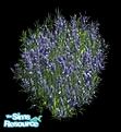 Sims 1 — Lavender by hootyholler — Part of the Farm Crop Set.