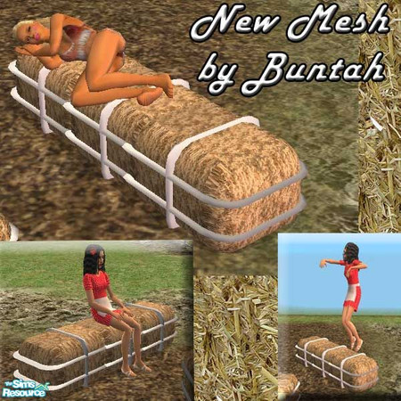 Sims 2 — Hay Bale Sofa MESH by buntah — In the barnyard, there are lots of hay bales to sit on or even take a nap on.