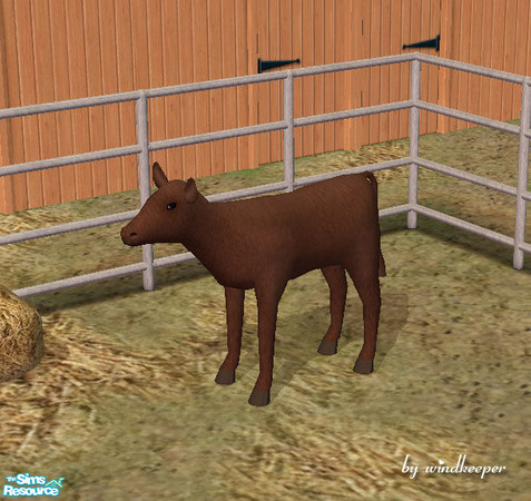 Sims 2 — Brown calf by Windkeeper — *Jun 17/06 updated to remove shine* You need to download "Calf" file from