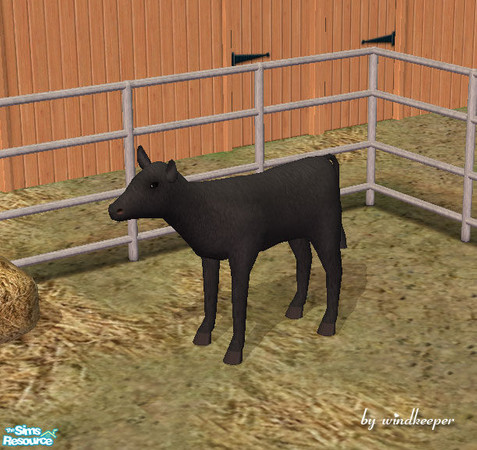 Sims 2 — Black calf by Windkeeper — *Jun 17/06 updated to remove shine* You need to download "Calf" file from