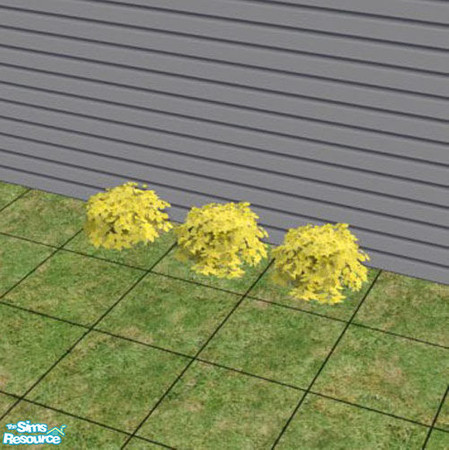 Sims 2 — Yellow Forsythia by jenterry — This is the Maxis bouganvilla plant recolored to give you the look of Forsythia.