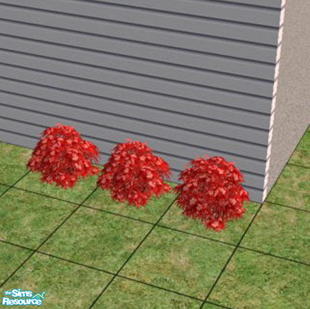 Sims 2 — Red Oleander by jenterry — A red oleander to give you a little color in the yard.