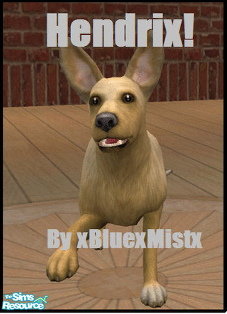 Sims 2 — Hendrix! by xbluexmistx — Presenting... Hendrix! Based on my Nan\'s beloved dog. We all call him Jimmi. He is a
