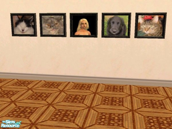 Sims 2 — TSRAA Gallery Submission by c_literati — My pets & my sim for the TSRAA gallery! So, of course it's TSRAA!
