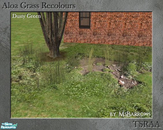Sims 2 — Aloa Grass - Dusty Green Grass #1 by MsBarrows — Dusty green recolour of the \"Grass #1\" mesh.