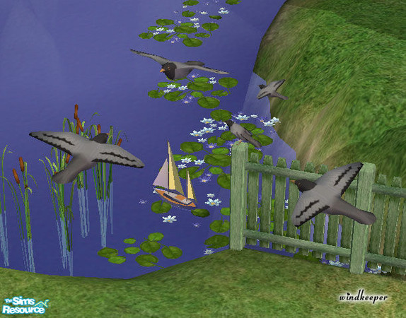 Sims 2 — Pigeon by Windkeeper — You need to download "Flying bird" file from this set for this file to work in