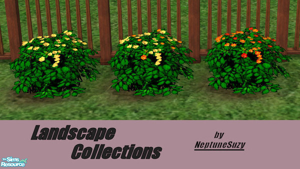 Sims 2 — NSC Landscape Set5 by Neptunesuzy — Set of three flowering shrubs with three new flower colors and a new rich