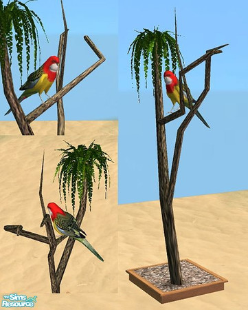 Sims 2 — Paradise Beach - Parakeet by Bitzybus — Parakeet in a "tree". Polygons: 3147 Vertices: 2113