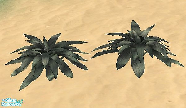 Sims 2 — Paradise Beach - Tropical shrub by Bitzybus — Tropical Shrub Doesn't need to be trimmed. Polygons: 678 Vertices: