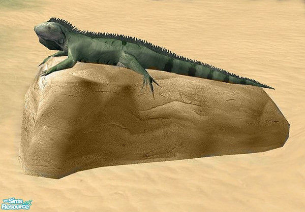 Sims 2 — Paradise Beach - Iguana by Bitzybus — Iguana on a rock. Polygons:796 Vertices: 701