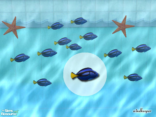 Sims 2 — Regal Tang by Windkeeper — You need to download "Tropical Fish mesh 2" file from this set in order for