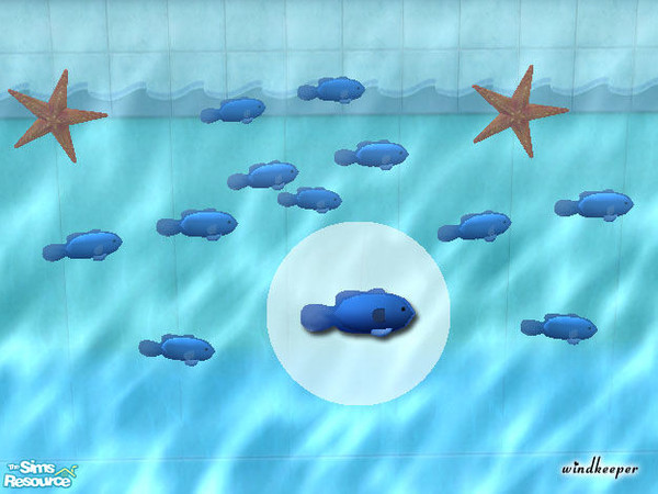 Sims 2 — Blue Chromis Damsel by Windkeeper — You need to download "Tropical Fish mesh 2" file from this set in