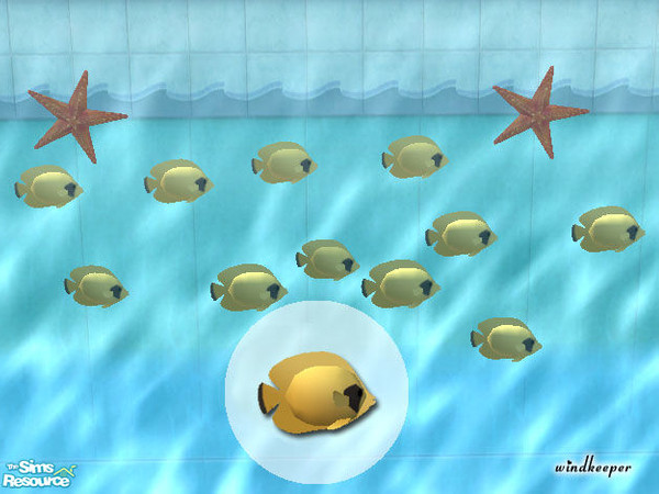 Sims 2 — Addis Butterflyfish by Windkeeper — You need to download "Tropical Fish mesh 1" file from this set in