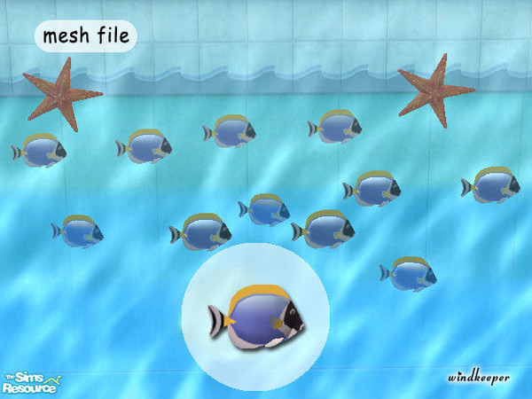Sims 2 — Tropical Fish mesh 1 by Windkeeper — Powder Blue Tang. You need this file for the recolors to work in your game.