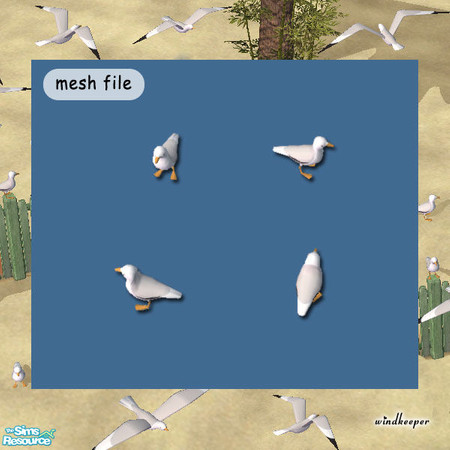 Sims 2 — Standing Seagull by Windkeeper — Summer beach is just not the same without a flock of seagulls! This standing