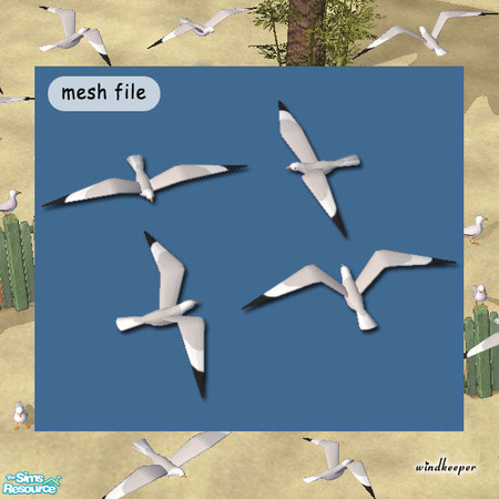Sims 2 — Flying Seagull by Windkeeper — Summer beach is just not the same without a flock of seagulls! This flying