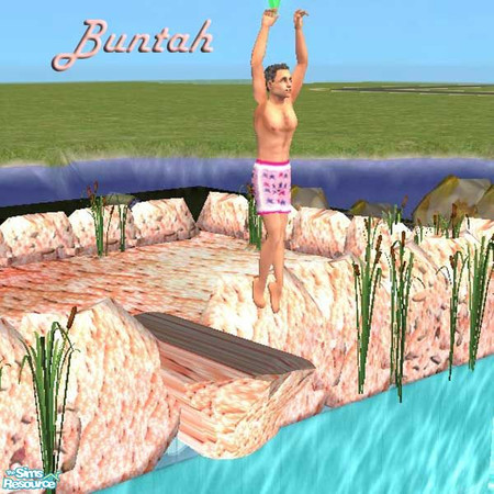 Sims 2 — Coral Diving Rock by buntah — This is actually a pool diving board and will be found in Build Mode with the rest