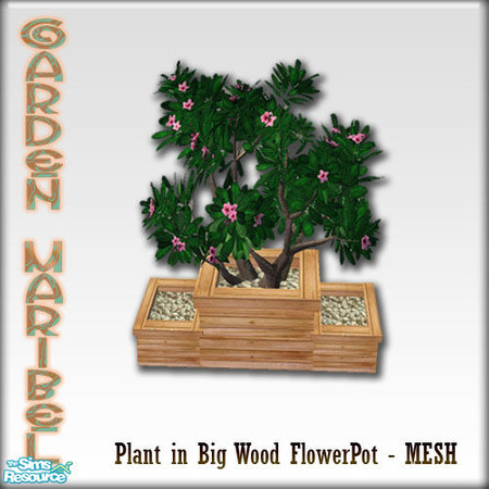 Sims 2 — S2S Garden Maribel Part 1 - Plan in Big Flower Pot - MESH by sims2sisters — 