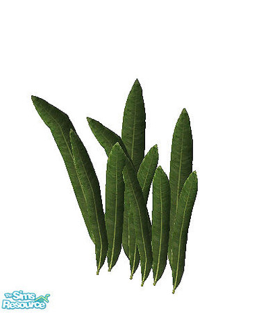 Sims 2 — Paradise - plant by steffor — 