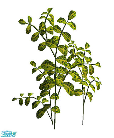 Sims 2 — Paradise - plant by steffor — 