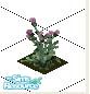Sims 1 — Scotch Thistles by carriep — Weeds are not something a gardener typically wants in their garden, but this weed