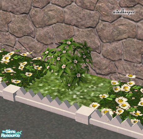 Sims 2 — Hydroponic shrub - white flowers by Windkeeper — *Updated July 5/05* Hydroponic shrub - white flowers. You need