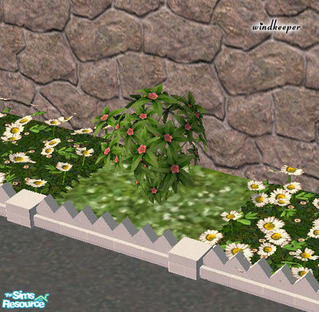 Sims 2 — Hydroponic shrub - pink flowers by Windkeeper — *Updated July 5/05* Hydroponic shrub - pink flowers. You need to
