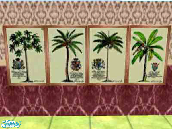 Sims 2 — jgk Royal Palms by ljkane — Four pictures framed of the four different variants of the Royal Palm with crests