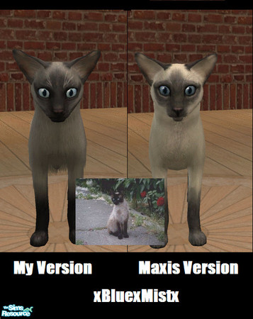 Sims 2 — Siamese by xbluexmistx — A slightly darker - (And less scarier!) - version of the Maxis Siamese. With all the