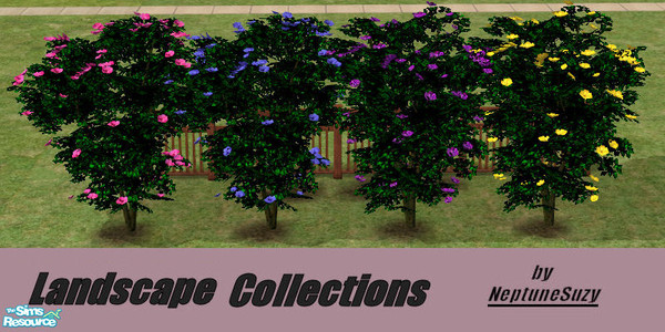 Sims 2 — NSC Landscape Set4 by Neptunesuzy — A set of 4 Flowering Shrubs with bright colored flowers and new darkest