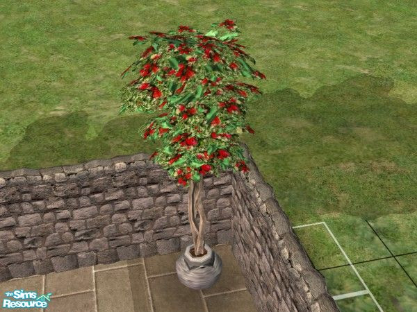Sims 2 — Garden Wedding Large Rose Topiary by c_literati — A large rose topiary in stone pot. Thanks to janay3 (aka dr