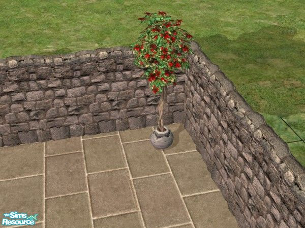 Sims 2 — Garden Wedding Rose Topiary by c_literati — A beautiful topiary blooming with the same type of red roses on the