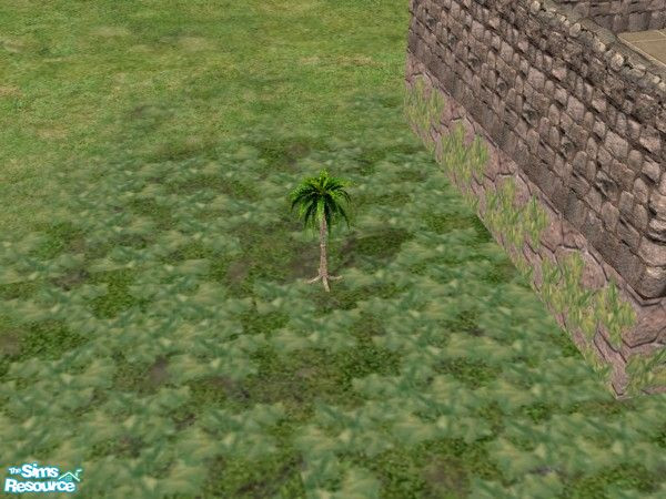 Sims 2 — Garden Wedding Fern by c_literati — Fern on a durable stone pedestal.