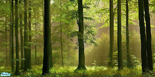 Sims 2 — Autumn Forest Wall Mural by brittie — Enjoy waking to a view of a beautiful forest!