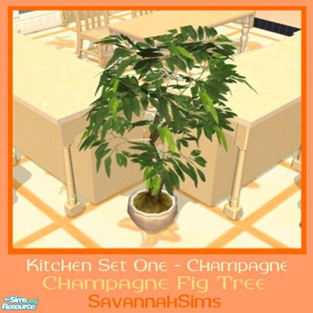 Sims 2 — Champagne Fig Tree - Kitchen Set One - C by oldmember_SavannahSims — This set has been designed to help your