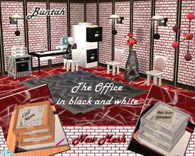 Sims 2 — The Office - In Black & White by buntah — This is a recolor of my original "The Office". It