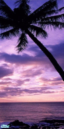Sims 2 — Tahitian Sunset Wall Mural - Panel 3 by TrailRunner782 — Get a beautiful Tahitian sunset right in your own home.