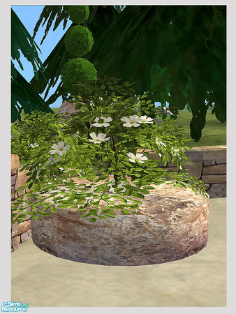 Sims 2 — Rustic Stone Garden - Millstone Gypsophila - Mesh by Shakeshaft — Part of a set of Garden Furniture and