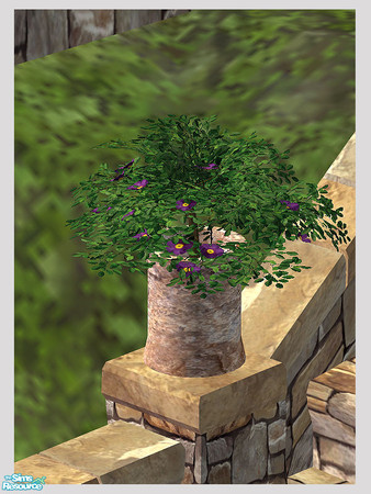 Sims 2 — Rustic Stone Garden - Pot Plant - Mesh by Shakeshaft — Part of a set of Garden Furniture and Decoratives in