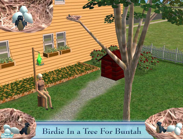 Sims 2 — Birdie In a Tree For Buntah by Gamerg — This was created for Buntah, she really likes birds and can be any bird