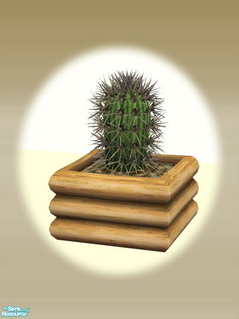 Sims 2 — Mt Lodge Series - Small Cactus - Mesh by Shakeshaft — Part of a set of extras for the Mt Lodge Series, set