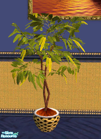 Sims 2 — Lalune fruitplant by Cloisonne — I altered the leaf colour and changed the base to match the rest of the decor.