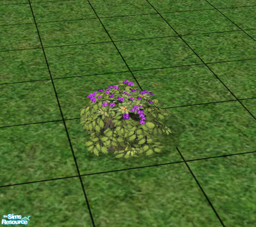 Sims 2 — Purple Babbling Bougainvillea by HeartSpirit — Purple Babbling Bougainvillea to match the Purple Rose Wedding