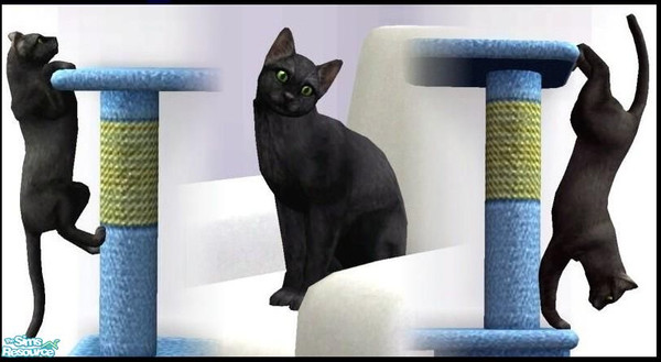 Sims 2 — Black Ocicat by qvisn — cute and crazy kitty, loves hugs. by qvisn